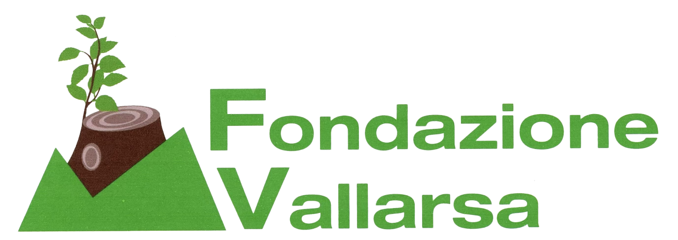 Fondazione Vallarsa Logo